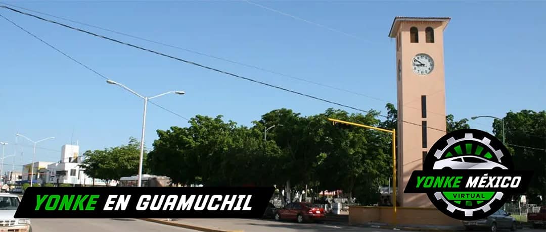 YONKE EN GUAMUCHIL